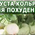 Капуста кольраби вместо диет и лекарств